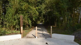 Chemin menant vers une zone boisée, bordé de végétation dense et verdoyante. À l’entrée du sentier, deux poteaux en bois encadrent un panneau vertical portant l’inscription « DES GUEULES NOIRES ». Aucun humain ni animal n’est visible.