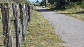 L’image représente une scène rurale avec un chemin en gravier qui traverse le paysage. Sur la gauche du chemin, une vieille clôture en bois composée de poteaux usés et de grillage longe le sentier. Le chemin s’étend au loin et décrit une légère courbe vers la droite. Les abords sont recouverts d’herbe, avec quelques buissons et arbres visibles à l’arrière-plan. Des poteaux électriques bordent le côté droit du chemin.
