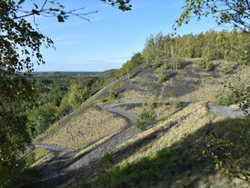 Vue sur le terril du Lavoir Rousseau
