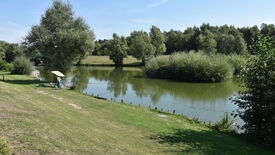 Scène paisible au bord d’un lac entouré de verdure. Une personne est assise sous un parasol jaune sur la berge herbeuse, en train de pêcher. Le lac est bordé d’arbres et de buissons, dont les reflets apparaissent dans l’eau calme. Le ciel est bleu et dégagé, suggérant une journée ensoleillée.