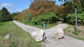 Intersection de deux chemins de gravier dans un parc naturel. Les chemins se séparent à partir d’un point central, l’un allant vers la gauche, l’autre vers la droite. Deux gros rochers sont placés au centre de l’intersection. Un panneau d’information bleu est partiellement visible parmi des buissons verts et rouges. À droite, un poteau métallique gris est présent sans panneau attaché. La scène est entourée de végétation dense, avec des arbres et des buissons. Le ciel est partiellement nuageux avec quelques zones de ciel bleu.